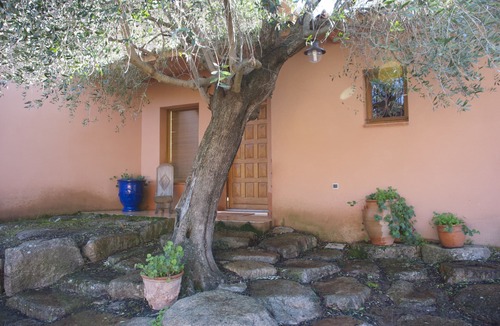 Porto-Vecchio Villa | Magnificent Villa in lush greenery with Pool