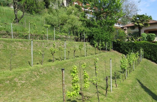 Vernate House | Magnificent villa surrounded by vineyards with a 180° view of lake lugano