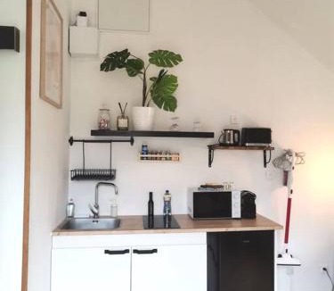 Saint-Barthelemy-d'Anjou Apartment | Magnifique studio avec extérieur