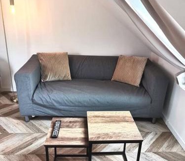 Saint-Barthelemy-d'Anjou Apartment | Magnifique studio avec extérieur