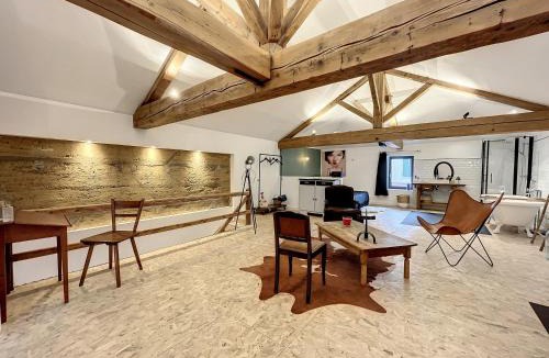 Marlieux Apartment | Magnifique et confortable loft