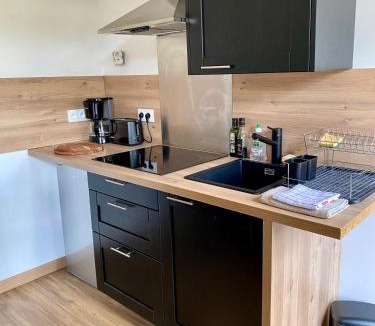 Saint-Leonard-des-Bois Apartment | Magnifique appartement 2/4 pers - Le Saint Leo