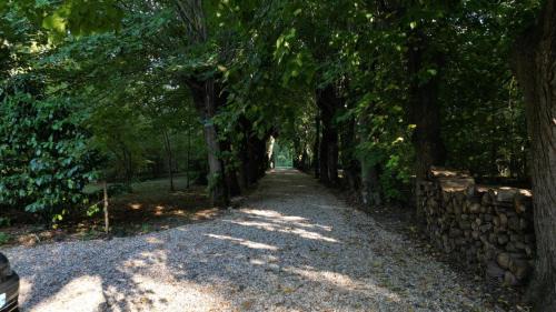 Montbarrois Villa | Magnifique Maison au cœur de la forêt - Calme & Nature