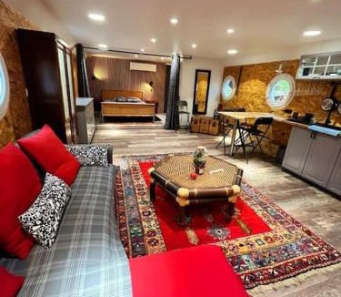 Cote Pavee Apartment | Magnifique Péniche cosy et spacieuse à Toulouse