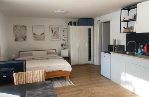 Gibloux Apartment | Magnifique studio dans une villa