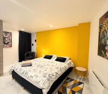 Rodez Apartment | Magnifique studio, proche du centre