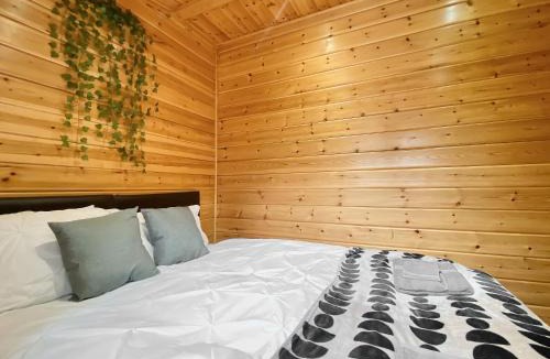 Camerton House | Magnolia Lodge-Uk46280