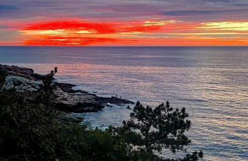 Gloucester House | Magnolia Tides