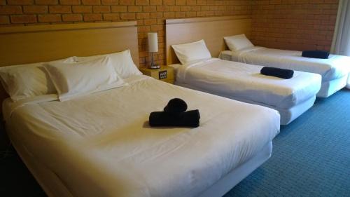 Golden Point Hotel | Main Lead Ballarat Motel