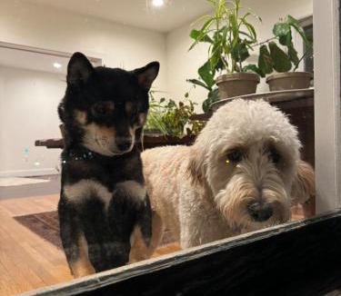 Millerton Apartment | Main Street cabin