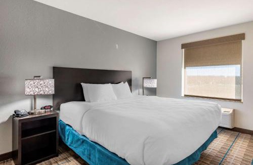 Scotland Hotel | MainStay Suites Newberry - Crane