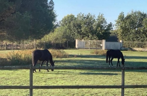 Saint-Julien-de-Concelles House | Maisonnette de Charme near Loire - Nature & Calm near Nantes