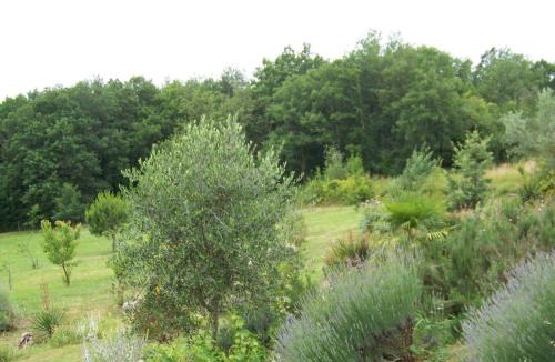 Sainte-Colombe-en-Bruilhois House | Maison d'artiste