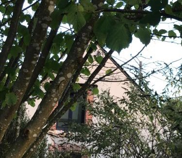 La Chapelle-dʼAngillon House | Maison à la Campagne