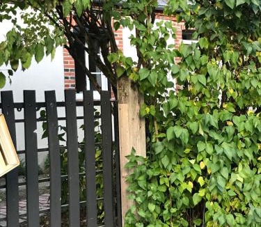 La Chapelle-dʼAngillon House | Maison à la Campagne