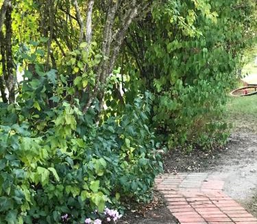 La Chapelle-dʼAngillon House | Maison à la Campagne