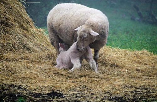 Saint Maurin House | Maison à la campagne