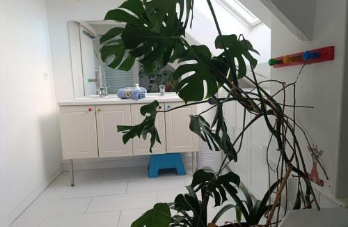 Rennes Metropole Villa | Maison à la campagne avec son chat