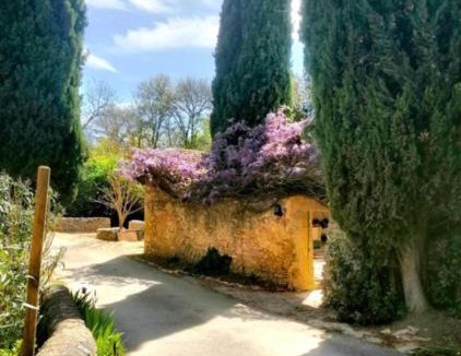 Laudun House | Maison 1643