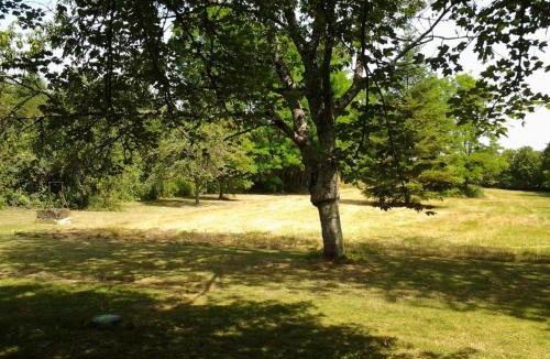 Cheille House | Maison 18e siècle à Azay-le-Rideau, jardin, wifi, proche nature - FR-1-381-20