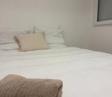 La Roche-sur-Yon Apartment | Maison 3 appartements T2 indépendants