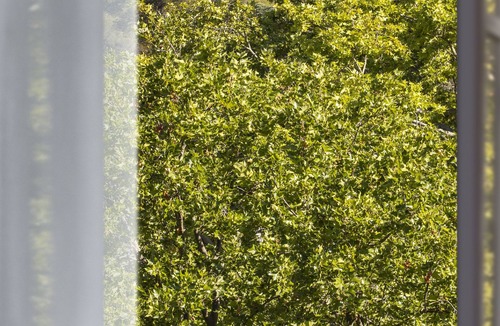 Nimes City Centre Hotel | Maison Albar Hotels L'Imperator
