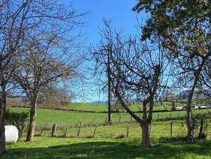 Ascarat Bed & Breakfast | MAISON AMORAINA