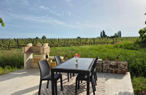 Monbazillac House | maison au cœur des vignes