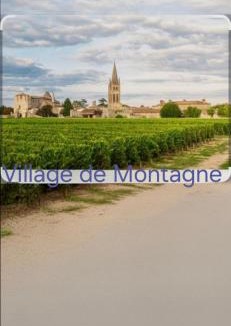 Montagne House | Maison au cœur des vignes