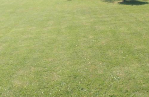 Beussent House | Maison au calme avec grand jardin, proche plages et chocolaterie, idéale familles et randonneurs - FR-1-376-119