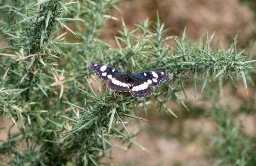 Verreries-de-Moussans House | Maison Au Milieu De La Foret