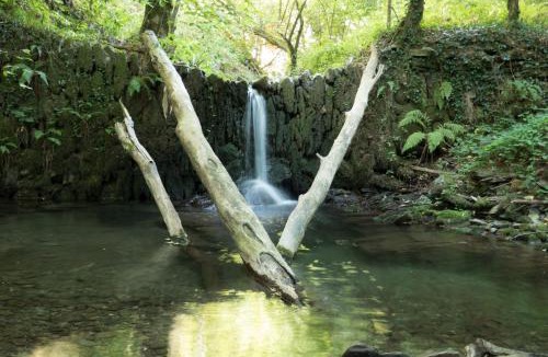 Verreries-de-Moussans House | Maison Au Milieu De La Foret