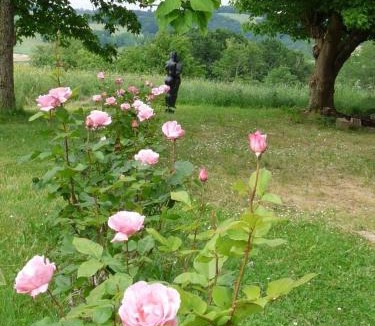 Araujuzon Bed & Breakfast | Maison Aurelia