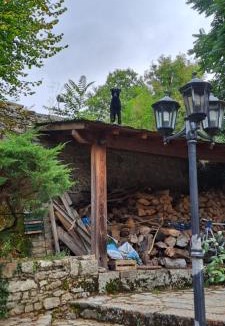 Gorges du Tarn Causses Villa | Maison authentique dans les Gorges du Tarn