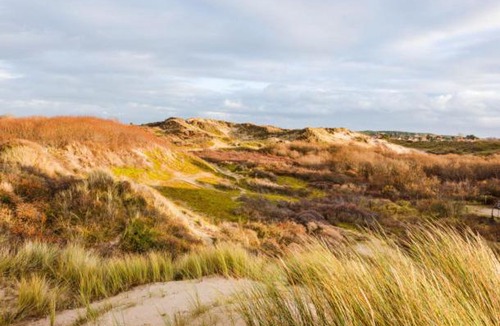 Merlimont-Plage House | Maison aux pieds des dunes 300m de la plage