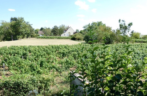 Pouilly-sur-Loire House | Maison Avec Jardin Entouré de Vignes, et Terrasse vue Loire