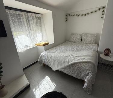 Le Fief-Sauvin House | Maison avec Jacuzzi extérieur
