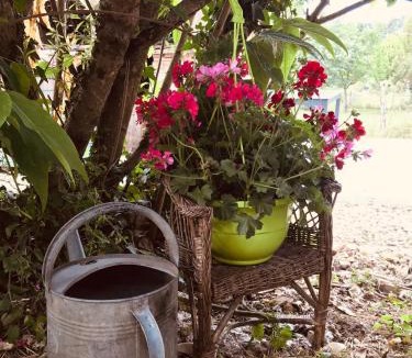 Reaup-Lisse House | Maison avec jardin dans village