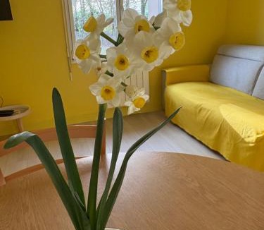 Sene House | Maison avec jardin