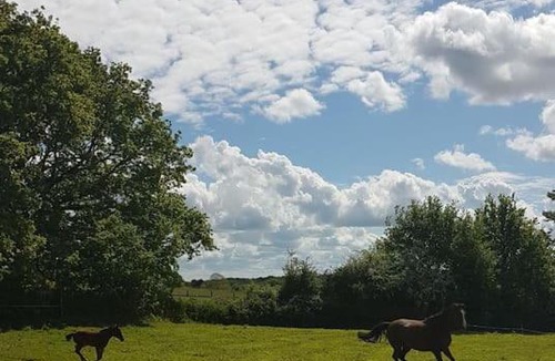 Missillac House | Maison avec vue