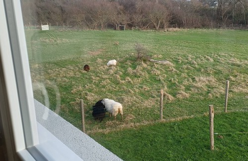 Lanildut House | Maison Avec vue mer