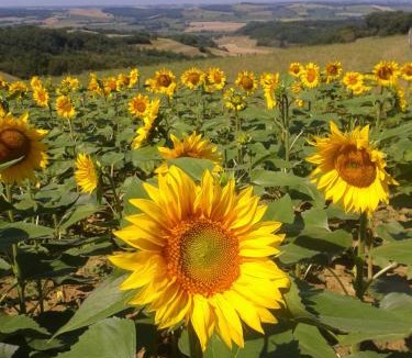 Biran House | Maison Breton