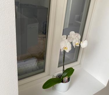 Drouvin-le-Marais House | Maison calme et confortable