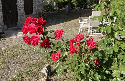 Job House | Maison Calme