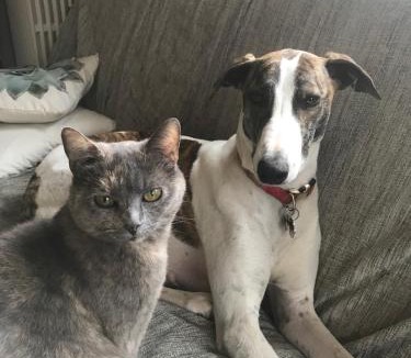 Le Chesne Bed & Breakfast | maison caroline bairon