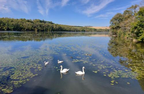 Le Chesne Bed & Breakfast | maison caroline bairon