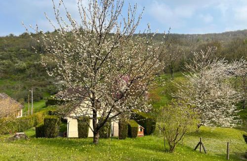 Vezillon House | Maison chaleureuse dans un écrin de verdure