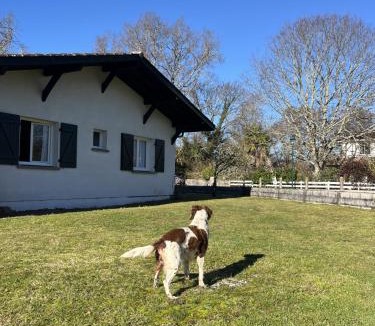 Mezos House | Maison chaleureuse