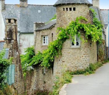 Ambon House | Maison charmante à Ambon + Jardin