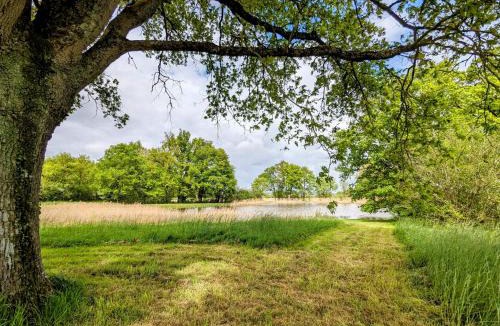 Saulnay House | Maison Charmante avec Étang Privé au Cœur du Berry - FR-1-591-86